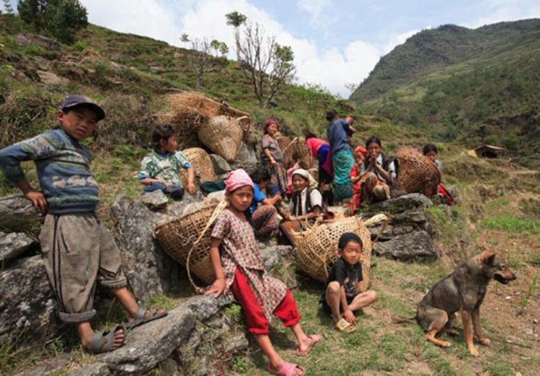 喜马拉雅山采蜜人：绝壁采蜜，专供尼泊尔皇室，一公斤卖3500美金