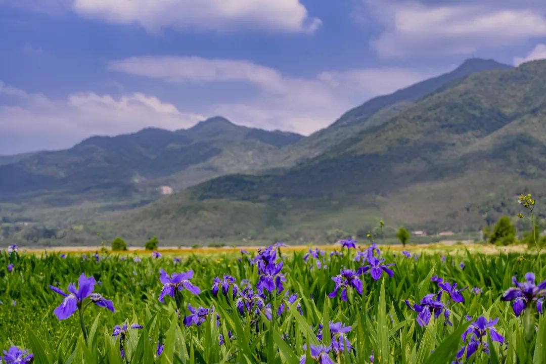 有一种云南的生活叫腾冲,腾冲旅行云南新攻略来袭