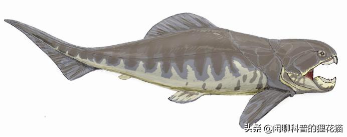 史前巨兽十大海洋霸主战斗力排名,史前最危险的十大海洋巨兽