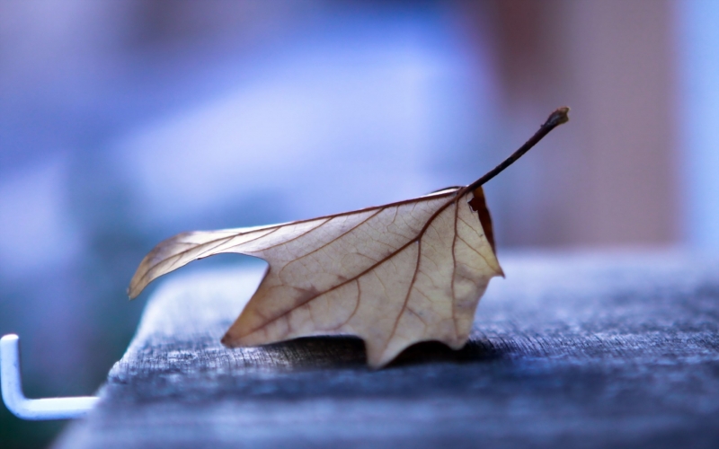 吃过大苦的人有这几个特征,吃过苦的女人有八大特征