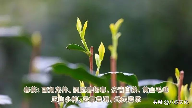 中国绿茶哪个好喝,各地好喝的绿茶排名