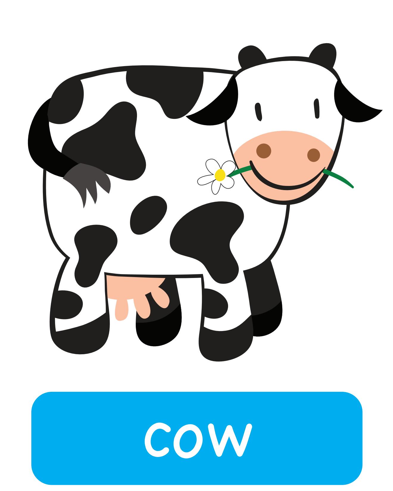 图说英语单词：高清动物类卡片，一图一单词