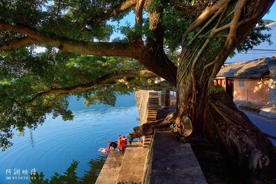 长汀话常用语,长汀话和上杭话