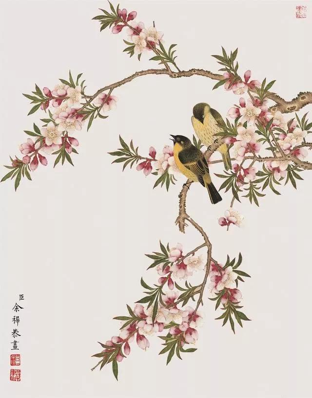 清代九大名家花鸟册页欣赏,清朝九大名家花鸟山水图