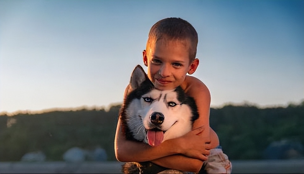 哪几种狗最温顺不爱咬人,性格最温顺不咬人的狗是怎么回事