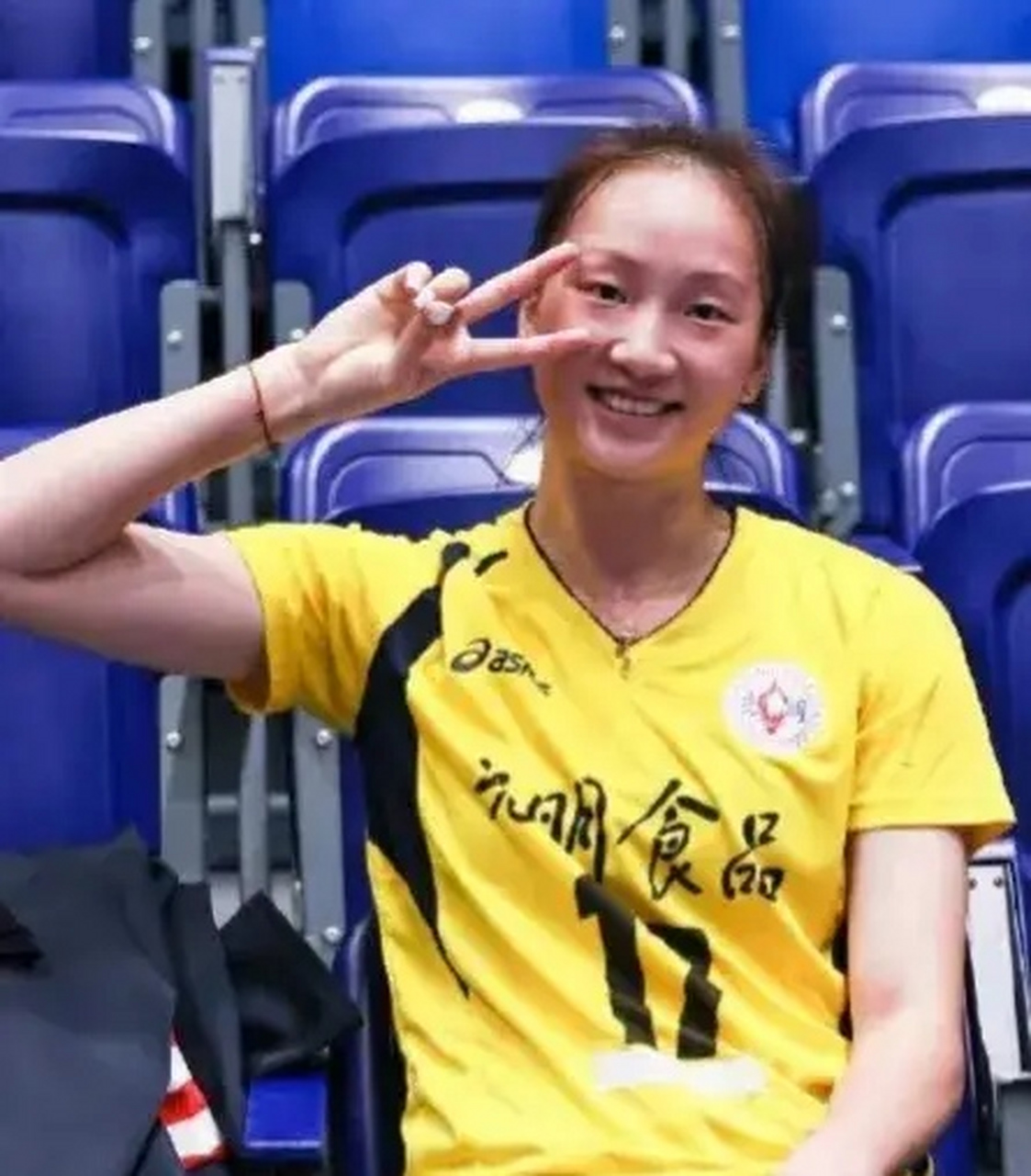 女排七仙女2连冠,女排七仙女阵容大全