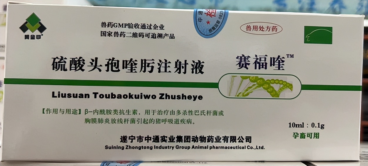 母猪产后不让小猪吃奶是怎么回事,母猪产后不让小猪吃奶咬猪怎么办