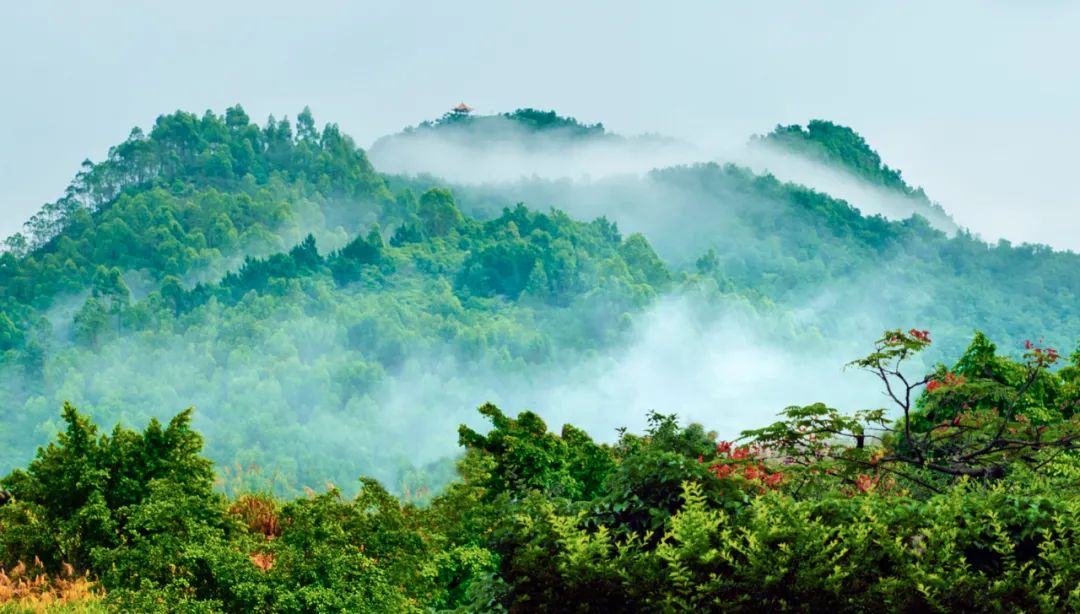 与春天撞个满怀的意思是什么,在棠梨湖公园邂逅春天