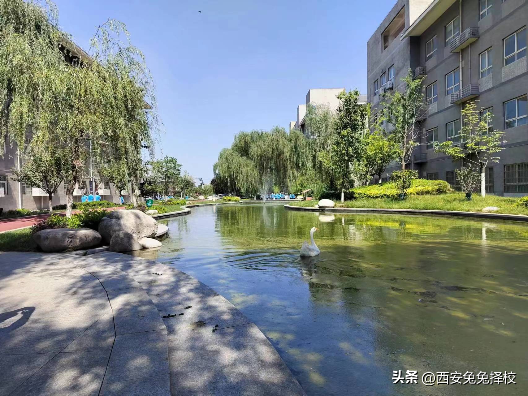 北迁10年，132岁的西高浴火重生，蓄势重回巅峰