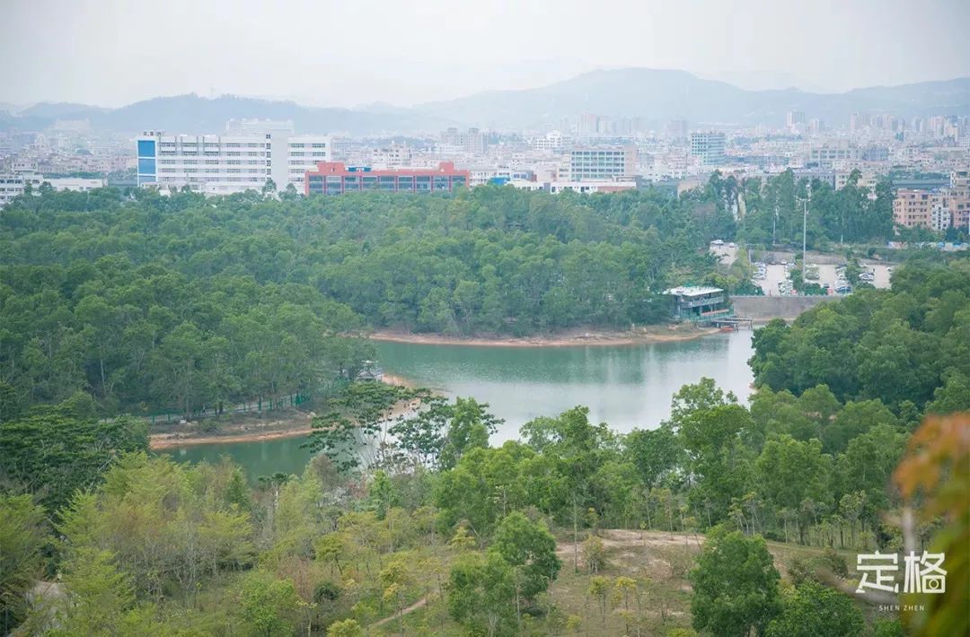 深圳免费露营的公园推荐,深圳22个露营公园