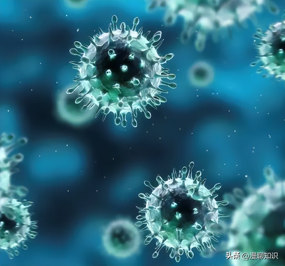 马传染病的传播,马传染性子宫炎