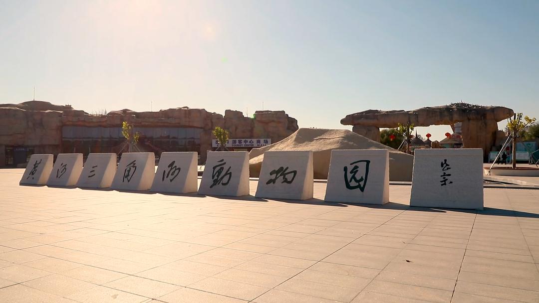 东营秋季旅游攻略,秋天东营旅游攻略必玩的景点