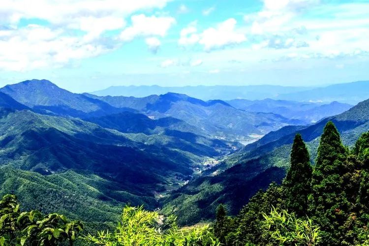 哈雷车主会福州分会,哈雷hog车主会八周年庆典巡游