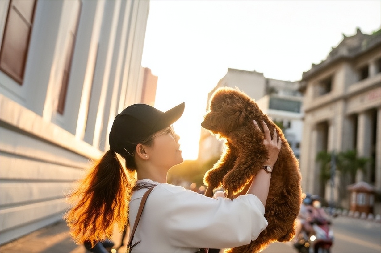 养不熟的狗处理方法,没养过狗的怎么养狗