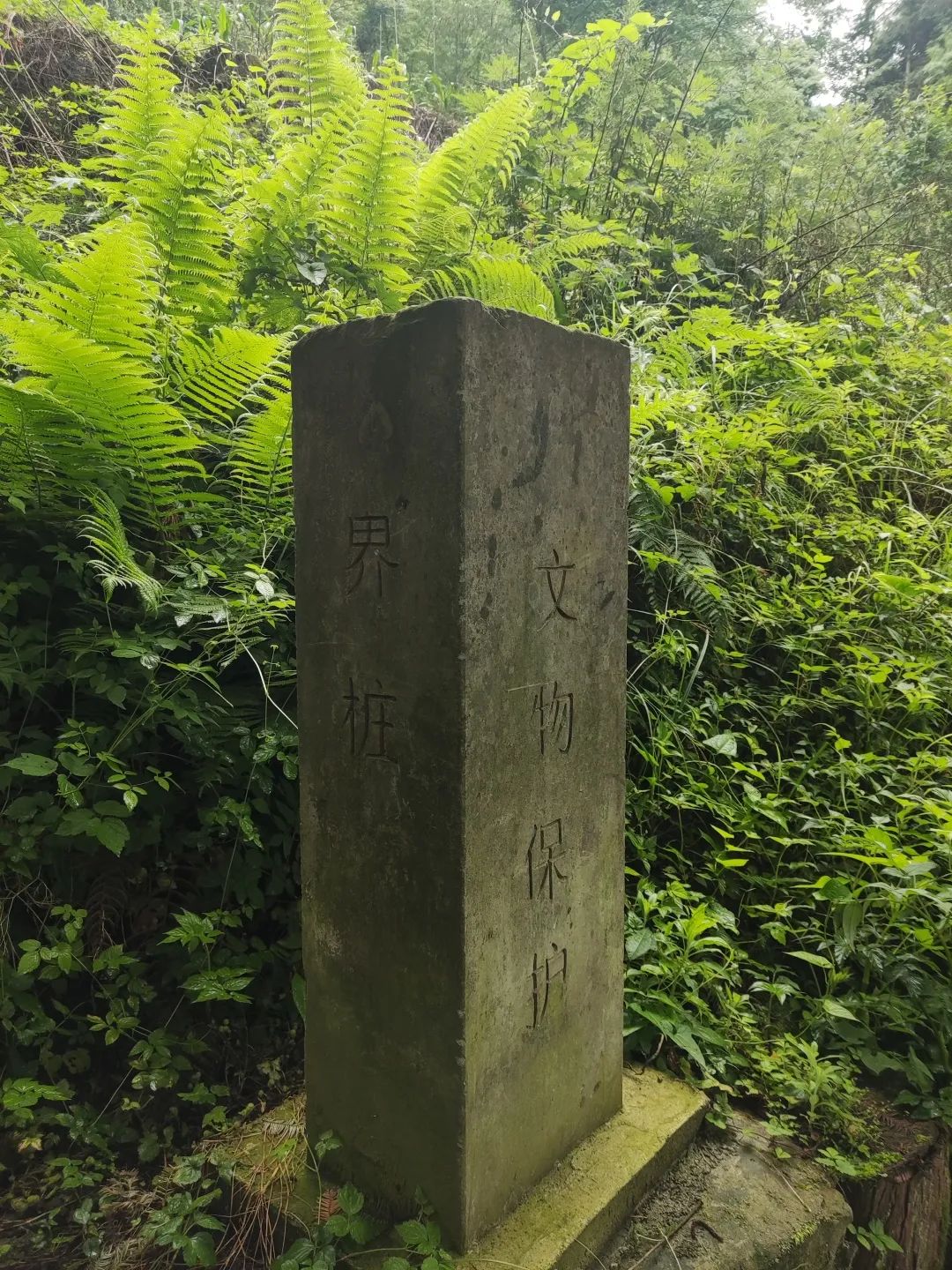 崇州山里新发现的天然景区,崇州的田园风光