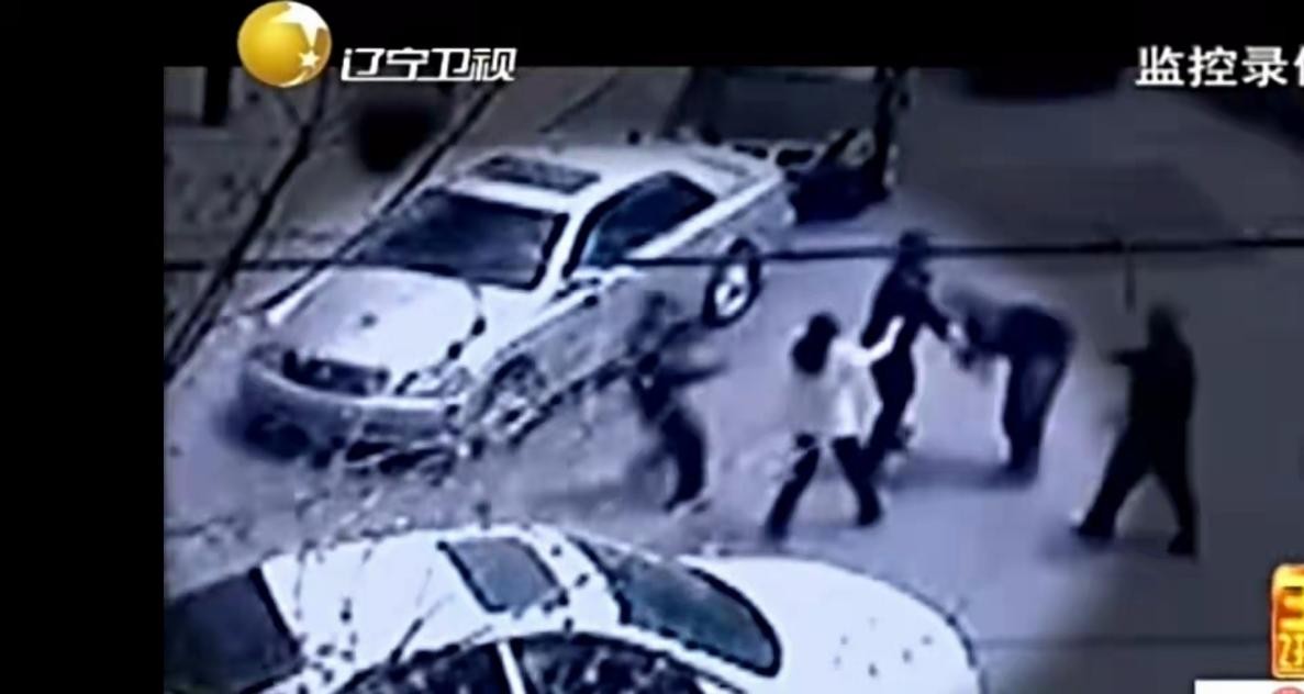 大连史英才案最后判决结果,大连交警史英才被打致死案后续