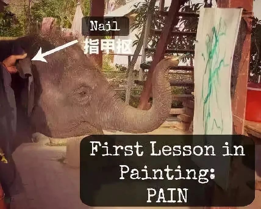 睡粪坑,戴脚镣……从“全民公主”到囚禁赚钱,谁来救救她?