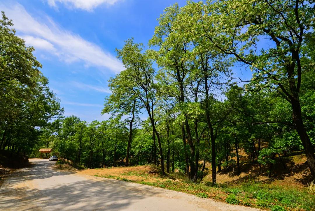 济南大自然氧吧,济南氧吧景区