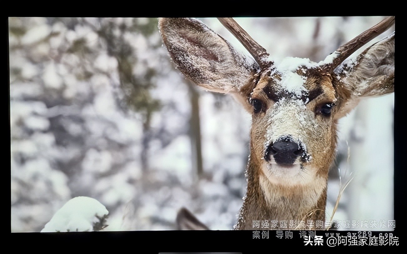 sonyvpl-vw5000es,索尼sonyvpl-dx221投影仪评测