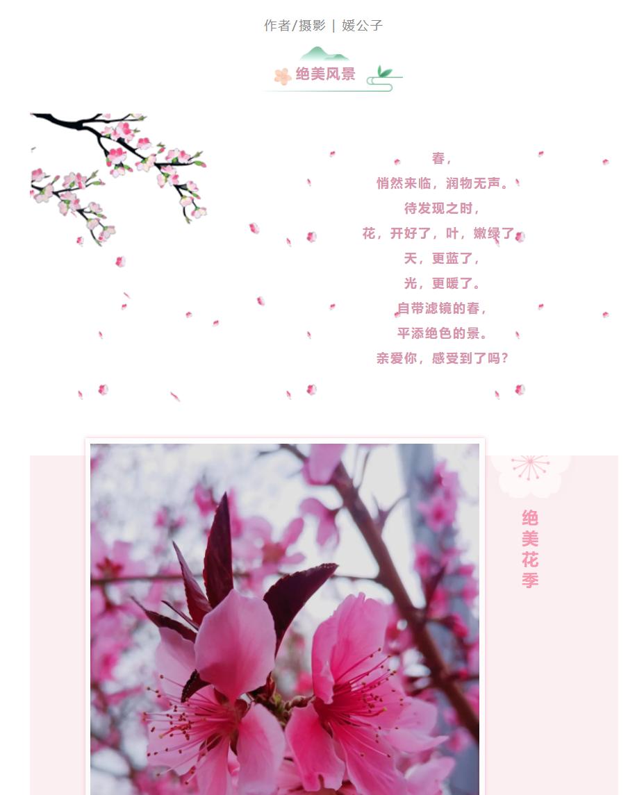 公众号文章文字较多如何排版好看,公众号文章排版从零开始做教程