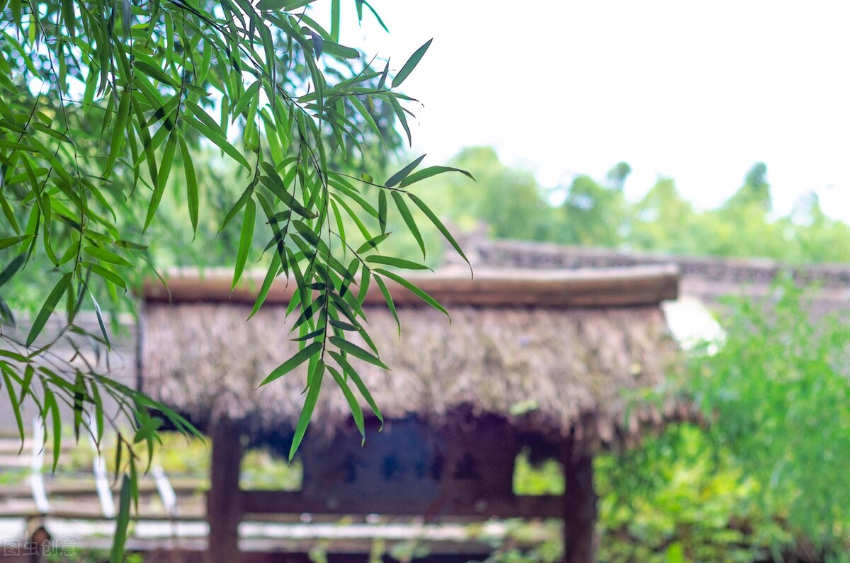 10个冷门却惊艳的小众成语,100个冷门惊艳的成语图片