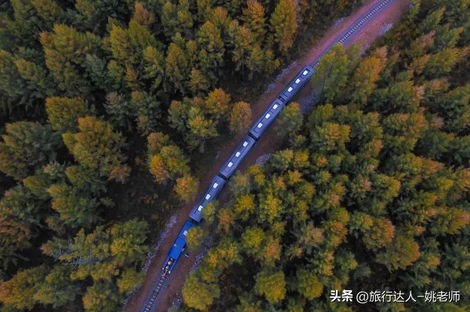 呼伦贝尔塞北草原旅行,呼伦贝尔金秋自驾游