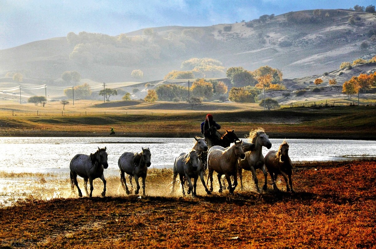 奇葩广告语吸引众人,最有创意的美食广告语30条