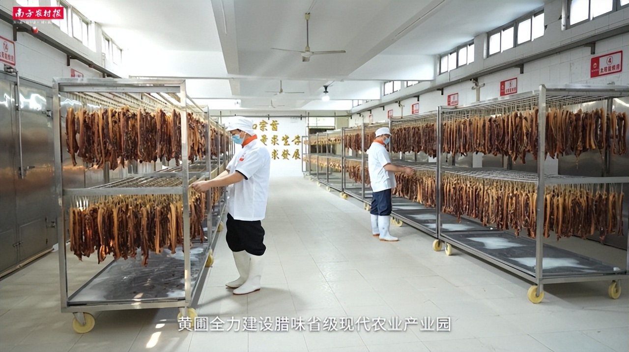 视频|飘香百年，匠心传承！黄圃腊味产业园宣传片重磅发布