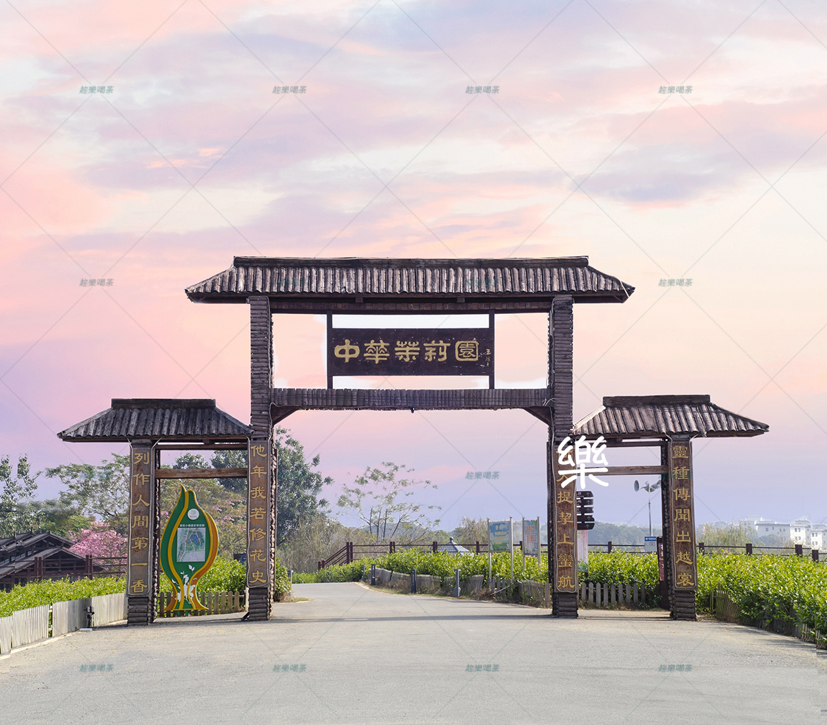 干货看完别再说不懂茉莉花茶了,茶知识问答茉莉花茶