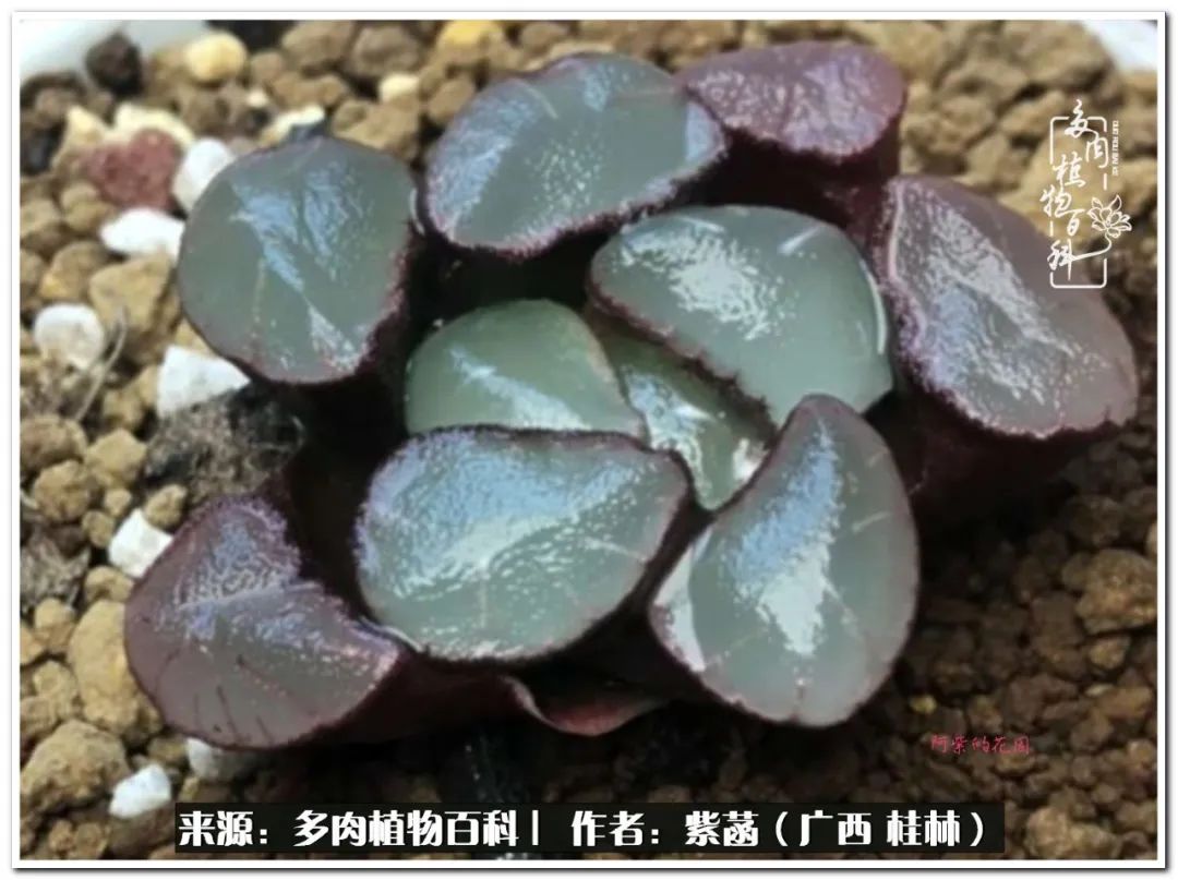 酷暑里的关爱，如十二卷般透亮绵长