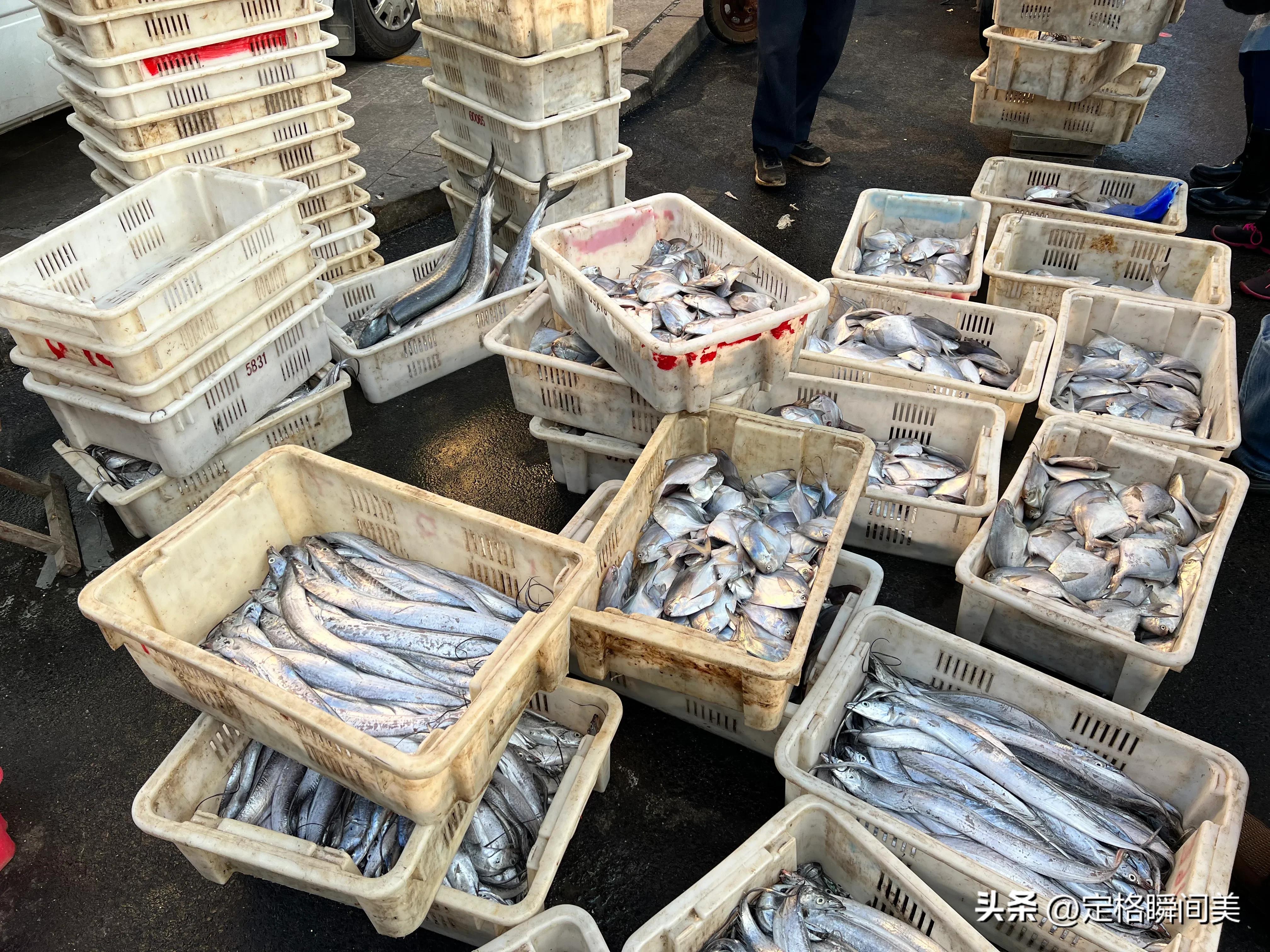 梭子蟹多少钱一斤黄岛,抢购梭子蟹30元一斤