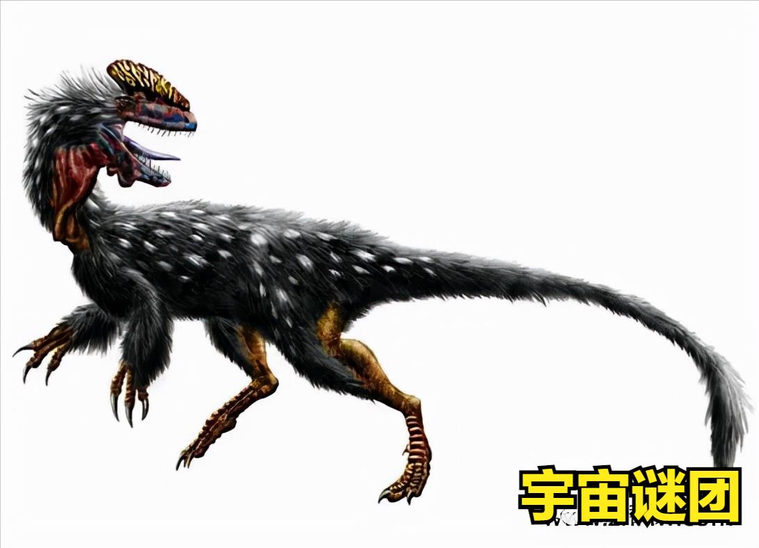 恐龙小百科认识更多的恐龙,恐龙大百科里有什么没见过的恐龙