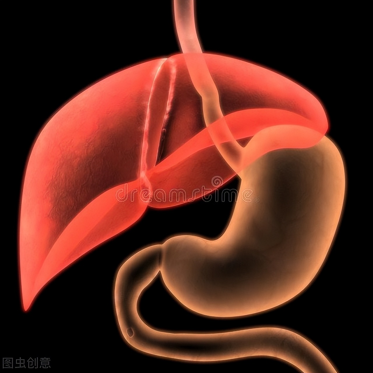 越鞠丸能治脾胃瘀堵症状,祛湿化痰越鞠丸