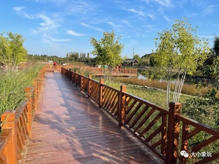 北京花海休闲公园,帝都游乐场