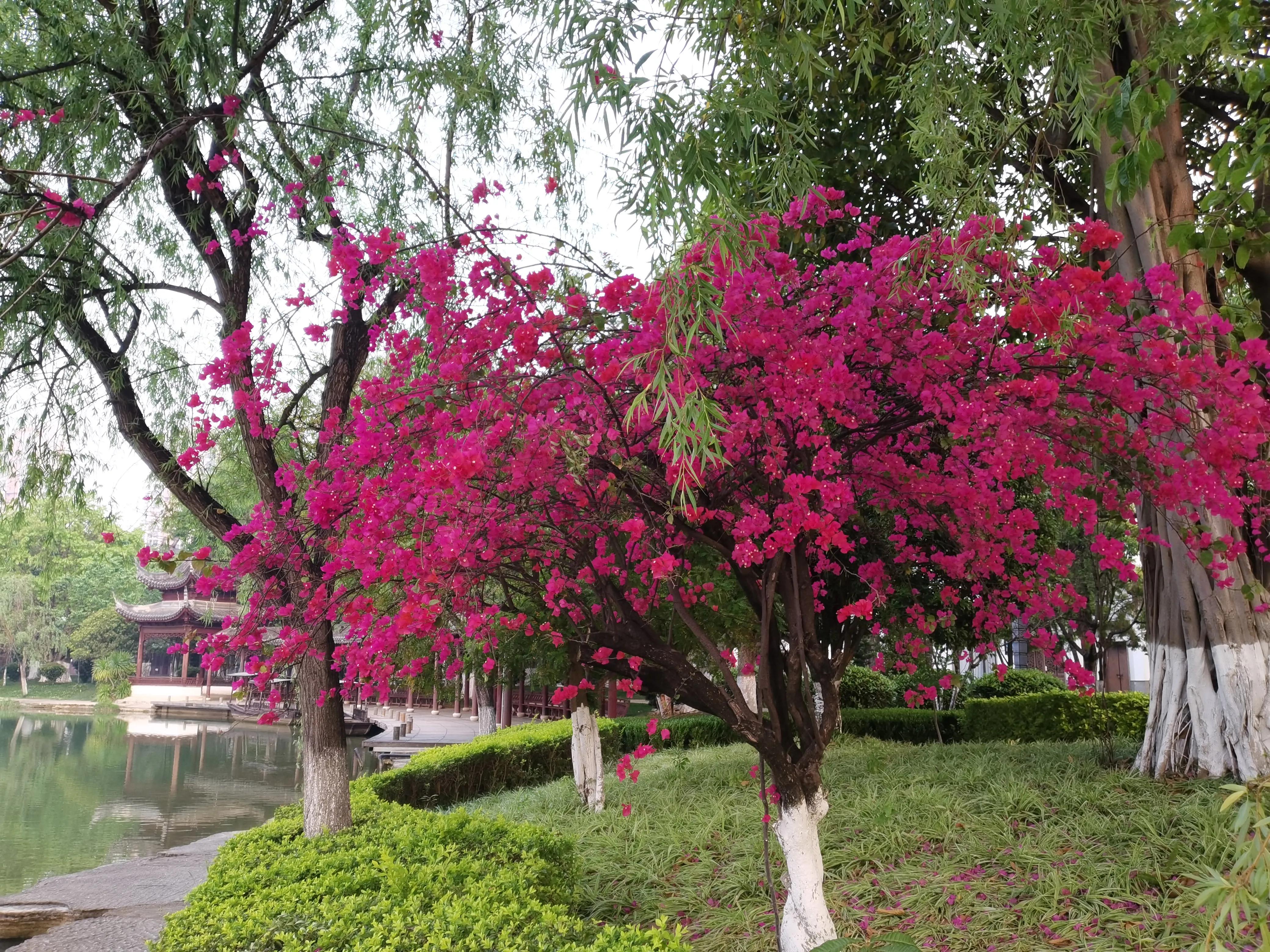 现代诗美景唯美朗诵,现代诗漂亮的目录