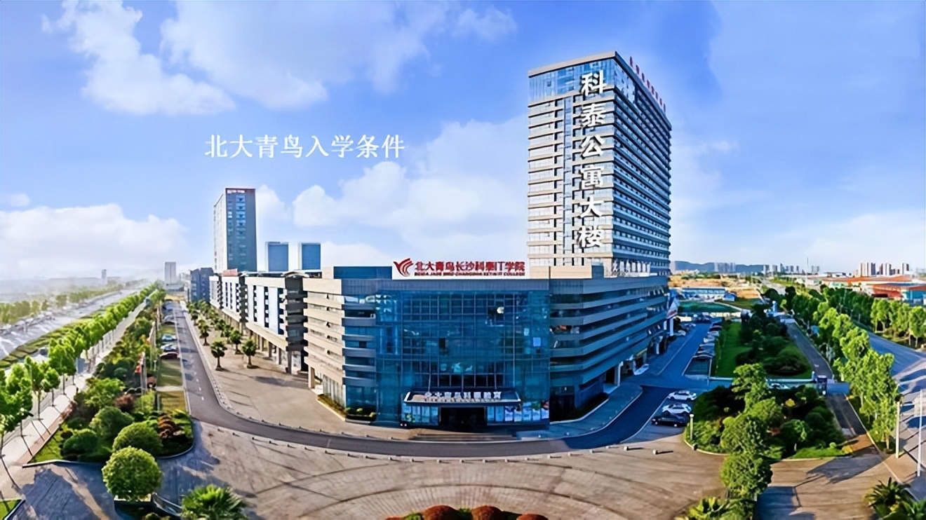 北大青鸟学什么专业简单,北大青鸟专业学什么好