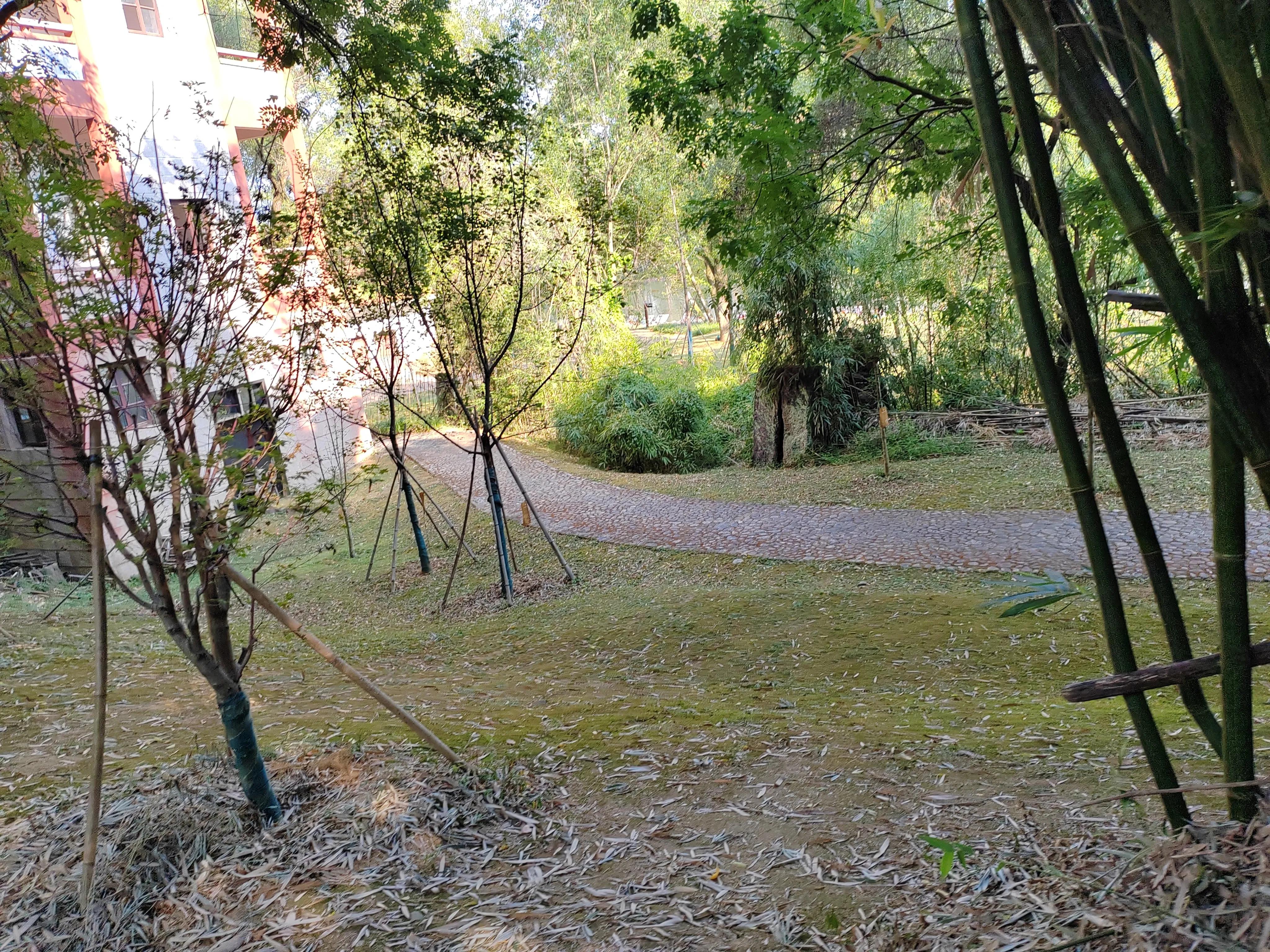 中国最美九曲溪风景,武夷山最美的地方是九曲溪