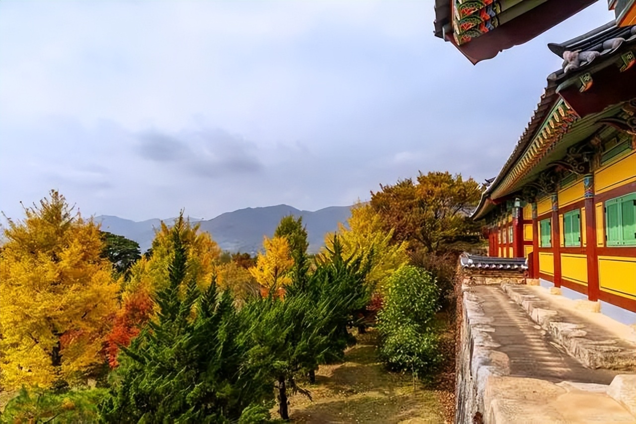 五台山旅游攻略中国四大佛教圣地,五台山哪座山最值得爬