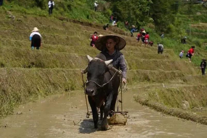 说农业是暴利的专家是哪个人,农业是暴利行业是哪个专家说的
