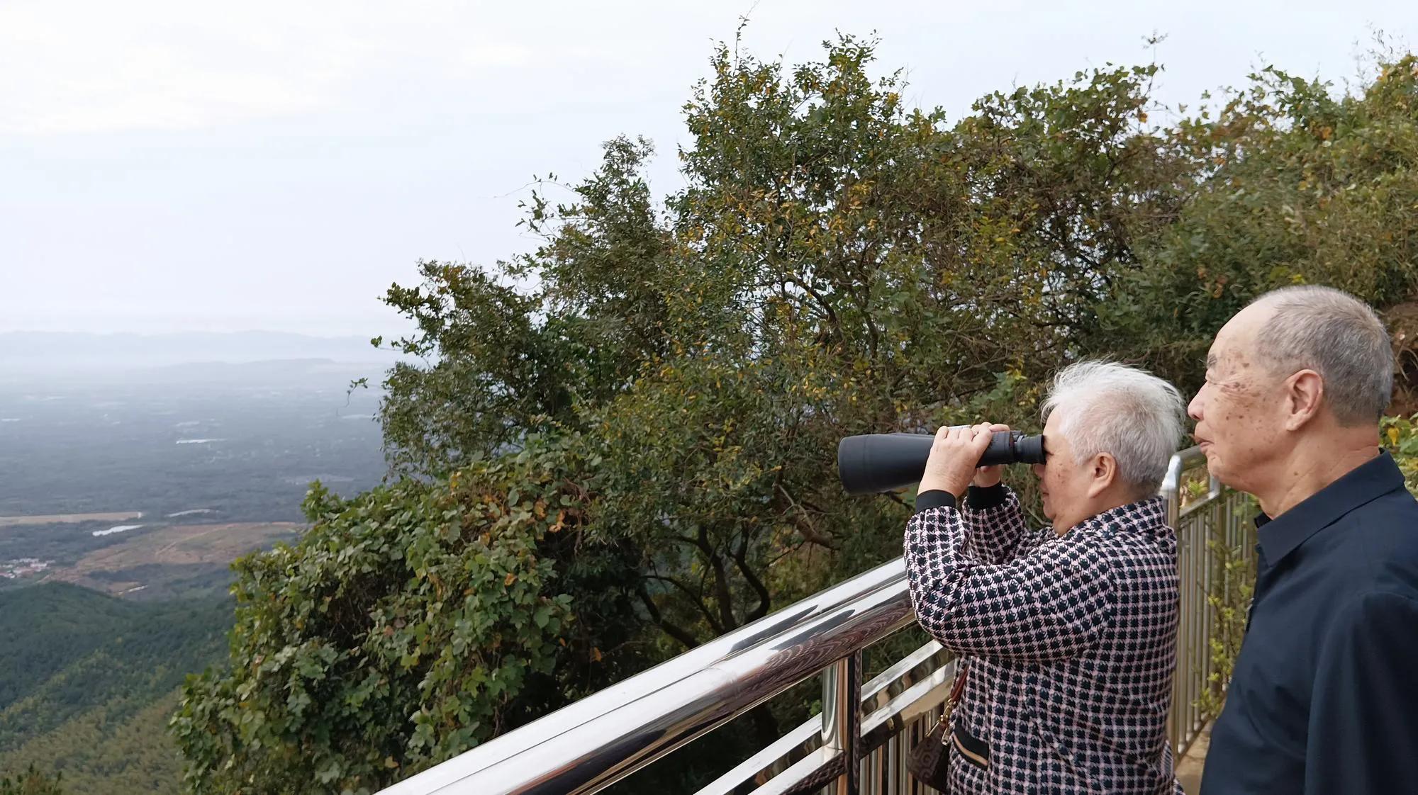 林子漫笔“微日记”,1241-1245:龙城半马“PB咯”