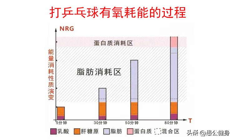每天打乒乓球能瘦吗,打乒乓球一个星期能瘦几斤