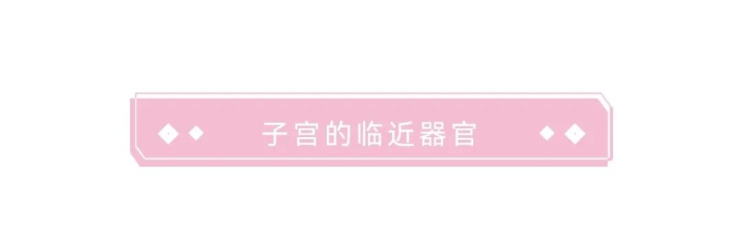 子宫大小与妊娠周数相符,妊娠子宫体积