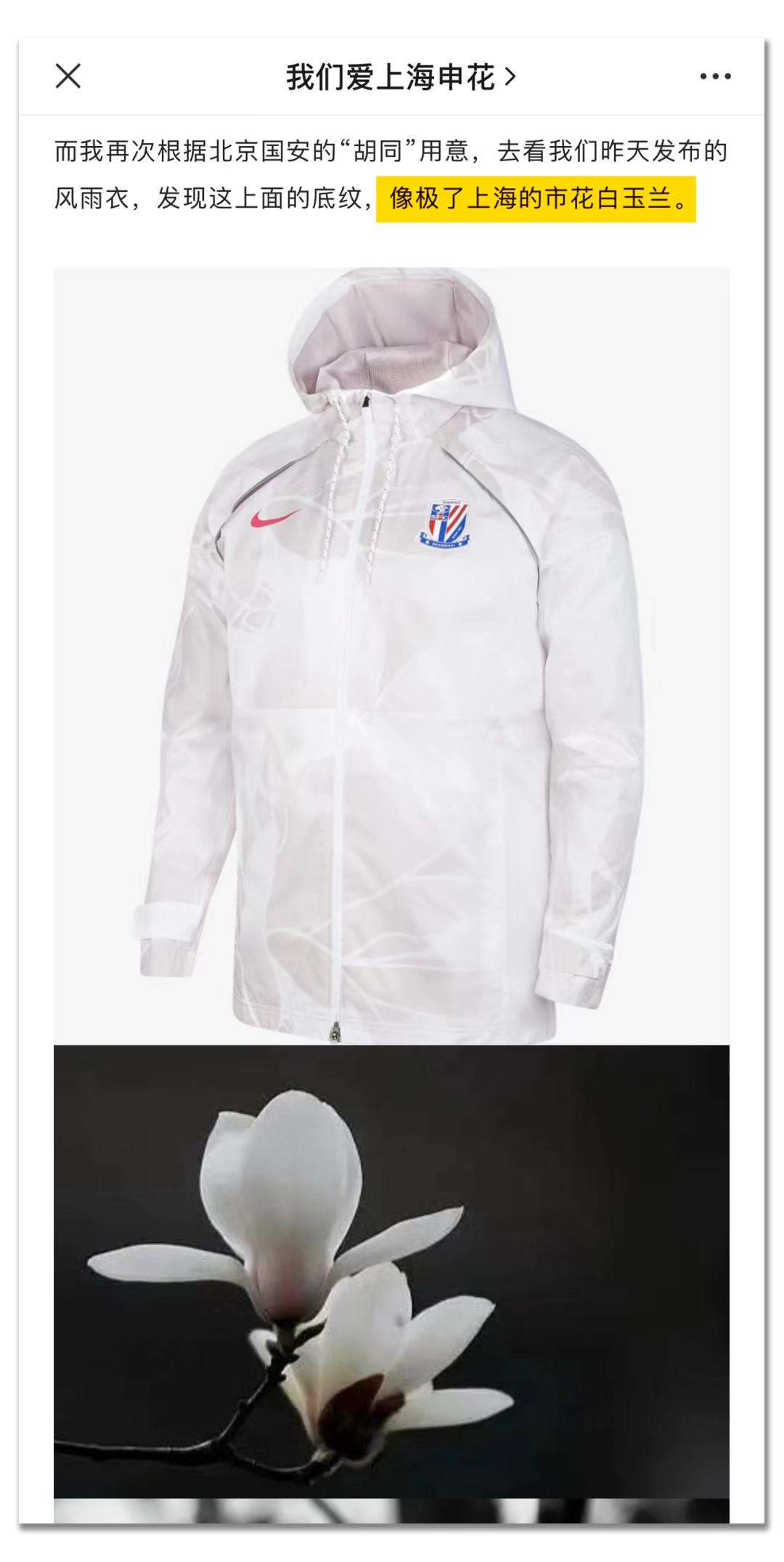 申花球衣最新款,申花最新款球衣是哪一款