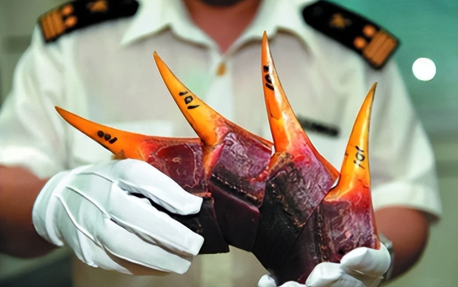 买饰品后被判刑,昆明一女子购买吊坠被判十年