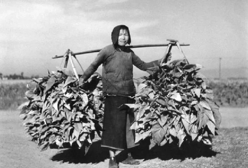 侵华日军残酷*行暴**，女子为活命脱下衣服让日本人拍摄，*辱侮**至死3