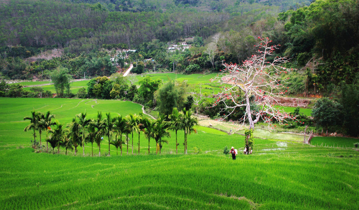 五指山夏季游玩攻略,五指山一年四季