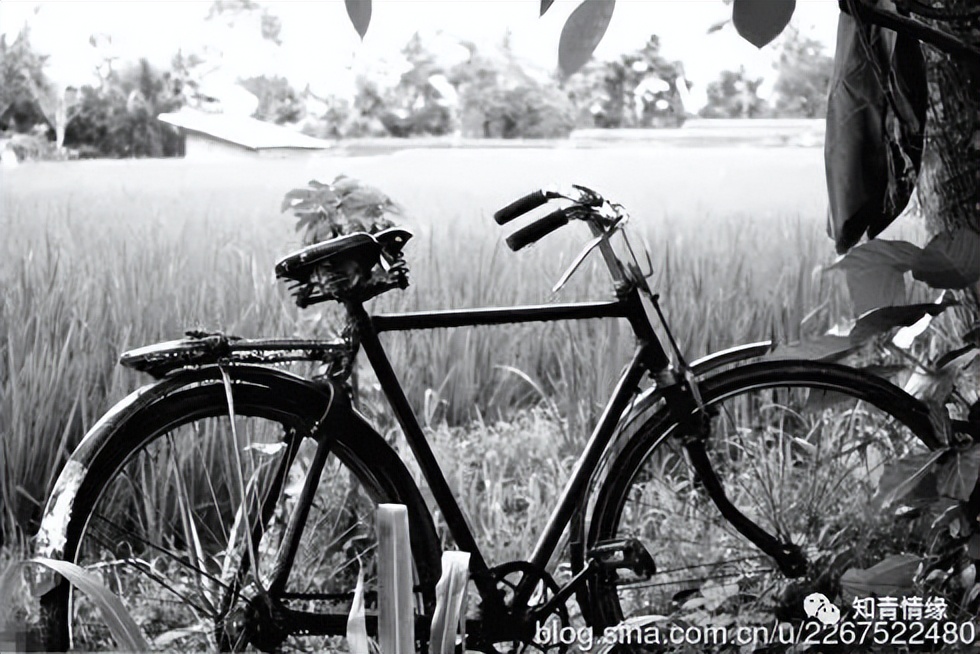 我当知青那些年,我当知青