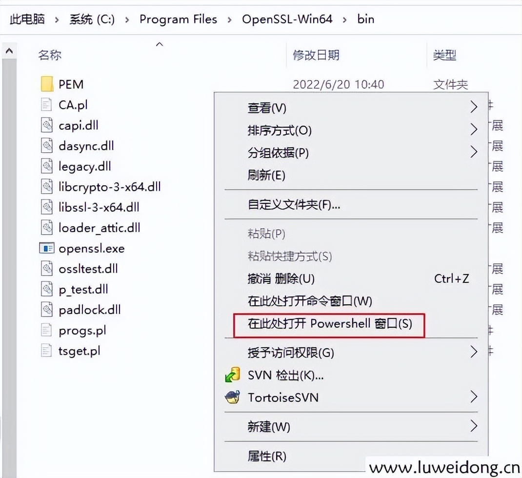 openssl提取公钥,windows开启ssh