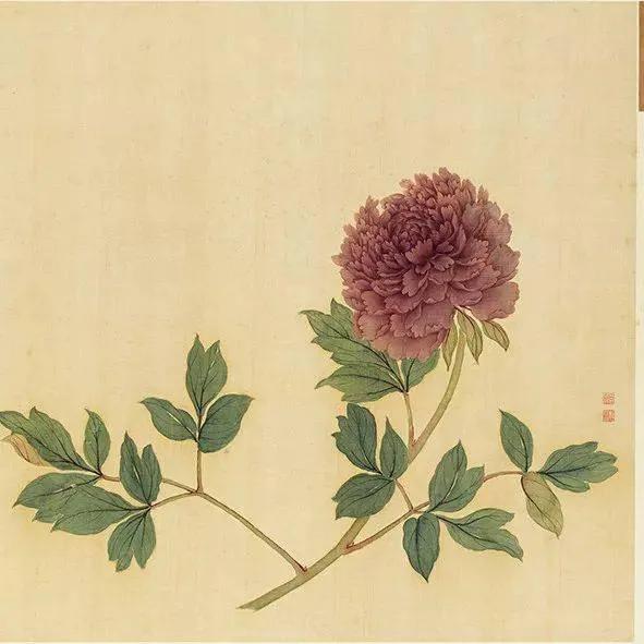 蒋廷锡牡丹画法,蒋廷锡百种牡丹画法