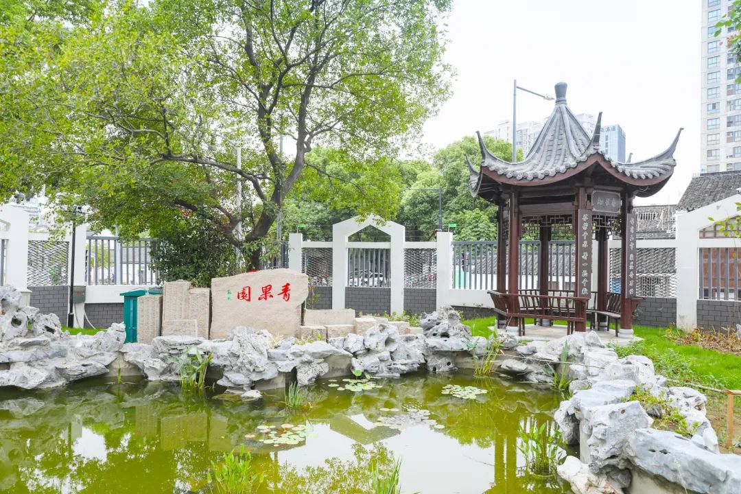 探校！常州市田家炳初级中学、常州市实验小学焕新归来